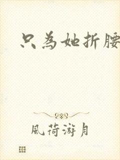 只为她折腰封面