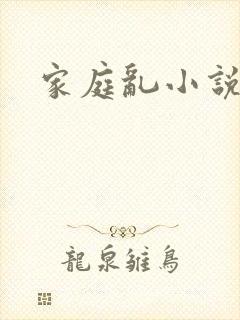 家庭乱小说