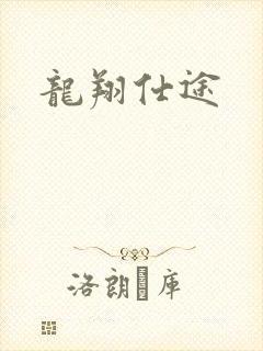龙翔仕途