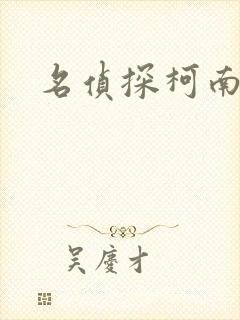 名侦探柯南h