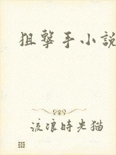 狙击手小说