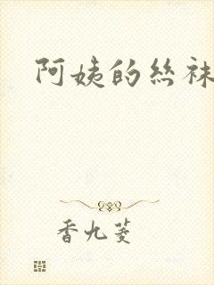 阿姨的丝袜小说