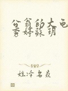 公翁的大龟挺进秀婷苏玥封面
