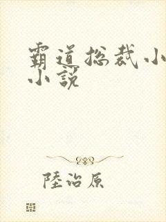 霸道总裁小娇妻小说