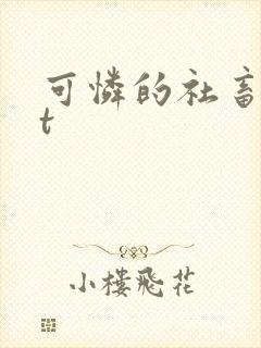 可怜的社畜txt