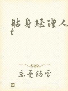 贴身经理人txt