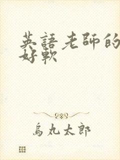 英语老师的兔子好软