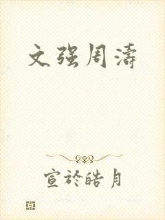 文强周涛
