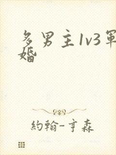 多男主1v3军婚