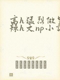 高h猛烈做哭高辣h文np小说