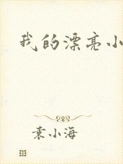 我的漂亮小后妈