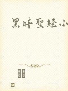 黑暗圣经小说封面