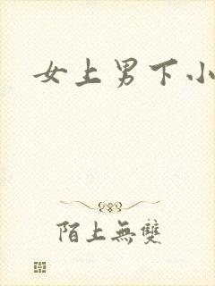 女上男下小说