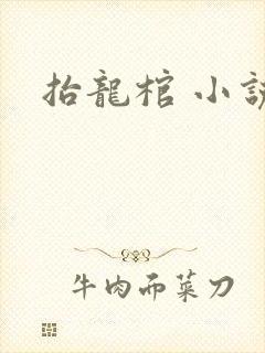 抬龙棺 小说封面