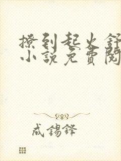 撩到起火舒漾的小说免费阅读全文封面