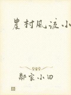 农村风流小说