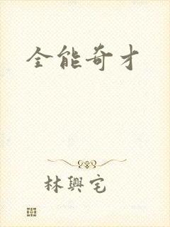 全能奇才封面