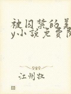 被囚禁的美人by小说免费阅读