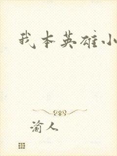 我本英雄小说封面