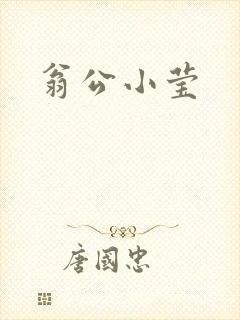 翁公小莹