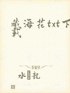 藏海花txt下载