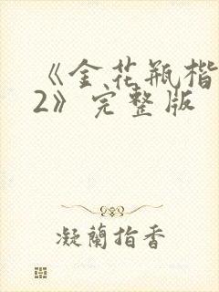 《金花瓶楷梅花2》完整版封面