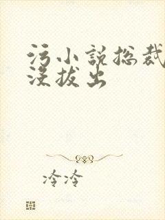 污小说总裁整夜没拔出