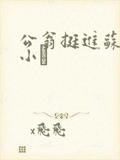 公翁挺进苏玥的小泬
