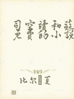 司空靖和苏月汐免费的小说笔趣阁