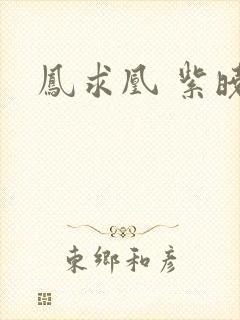 凤求凰 紫晓