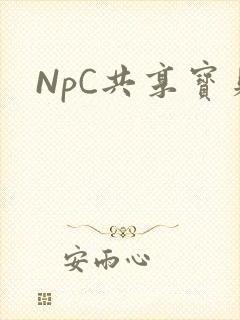NpC共享宝贝