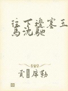 往下边塞玉器骑马沈驰