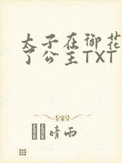 太子在御花园要了公主TXT封面
