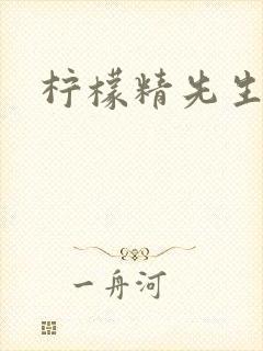 柠檬精先生