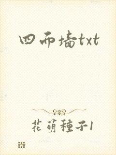 四面墙txt