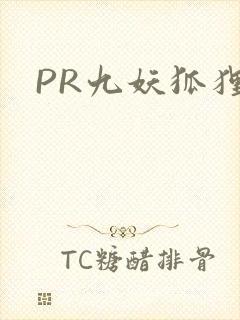 PR九妖狐狸