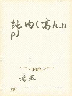 纯肉(高h.np)