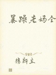 暴躁老妈全集封面
