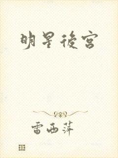 明星后宫