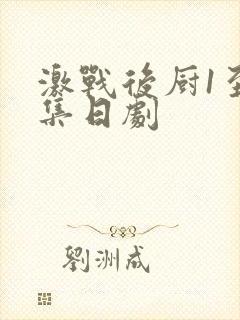 激战后厨1至5集日剧