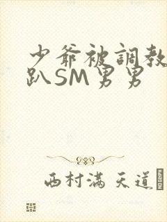 少爷被调教室跪趴SM男男