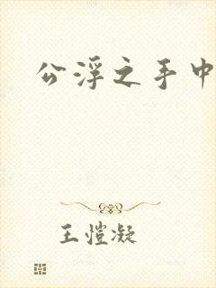 公浮之手中字5