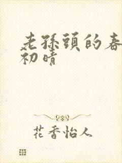 老孙头的春天林初晴