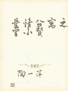 爱情公寓之极品曾小贤