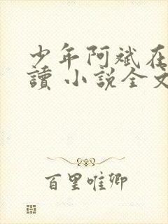 少年阿斌在线阅读 小说全文免费