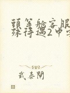 头等舱客服的特殊待遇2中字封面