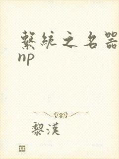 系统之名器攻略np