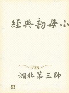 经典韵母小说封面