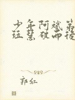 少年阿斌第二部珏慧破而后立封面