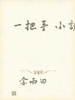 一把手 小说